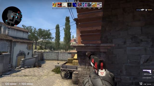 CSGO USP-S Cyrex Field Tested смотреть онлайн