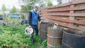 Компостные бочки. Куда девать выполотый сорняк чтобы он не пророс