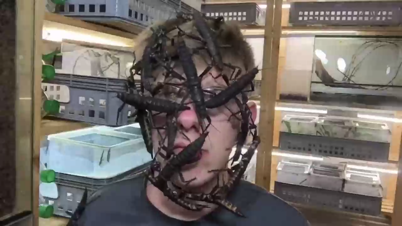 Железные нервы смотреть онлайн