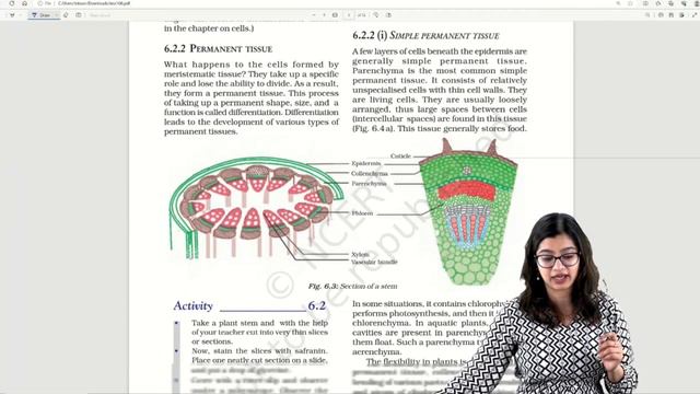 All Important Diagrams in One Go | Class 9 CBSE Science смотреть онлайн