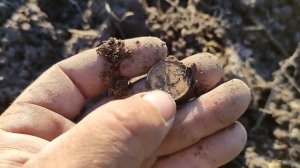 Коп!Поиск старых артефактов в заброшеной деревне,!Нашли старые монеты!