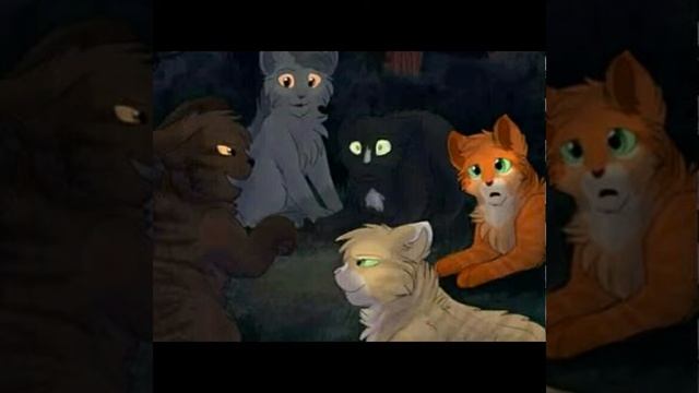 Коты-Воители ,,Это мои друзья