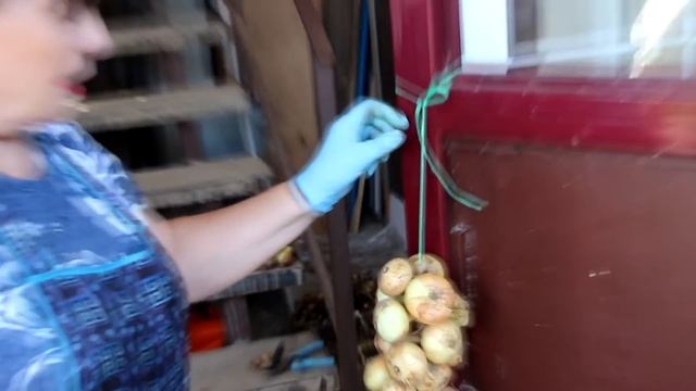 Эх!Лук,лучок-золотая луковица смотреть онлайн