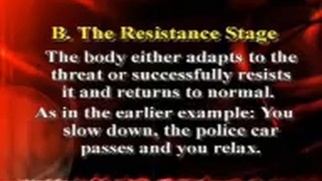 stress workshop David Singer Part 2 смотреть онлайн