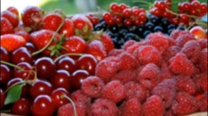 Совместима ли черешня с малиной и можно ли растения сажать рядом