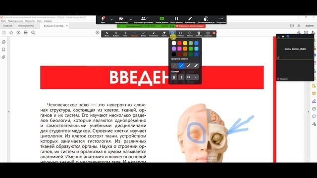 Инструкция Zoom смотреть онлайн