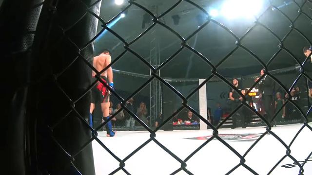 Заснул в бою по MMA смотреть онлайн