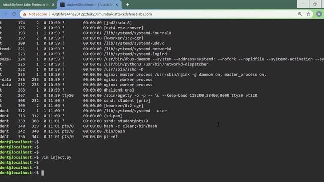 Advanced Linux Privilege Escalation: CAP_SYS_PTRACE смотреть онлайн