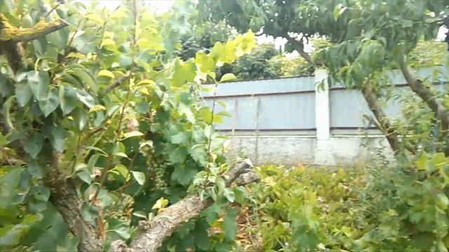 Сельские будни смотреть онлайн