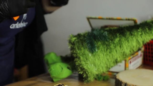 новогодние композиции своими руками #1 смотреть онлайн