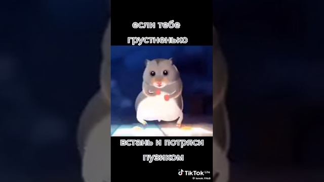 Томми пузем смотреть онлайн
