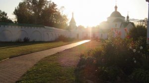 Наша семья и наши увлечения