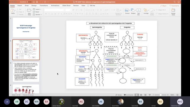 Cours reproduction MO смотреть онлайн