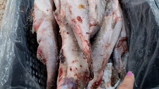 Светофор.Лучшие товары из магазина низких цен.Спешу все показать смотреть онлайн