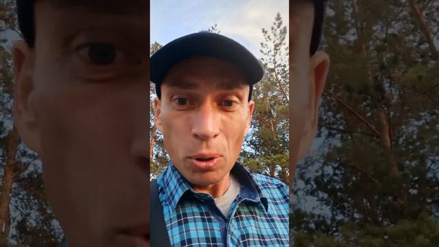 Небеса проповедуют(говорят, перечисляют, провозглашают)о Славе Бога. Пс 18. смотреть онлайн