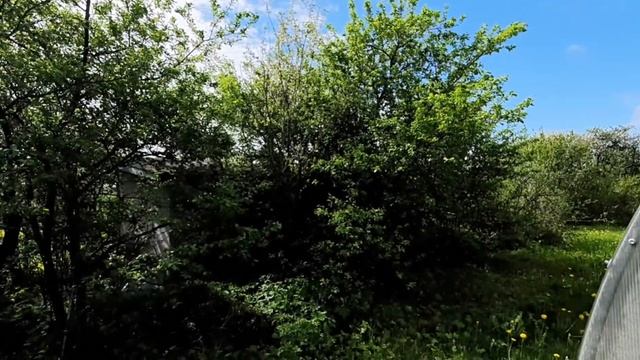 ОДНА В ДЕРЕВНЕ развлекаюсь как могу)... смотреть онлайн