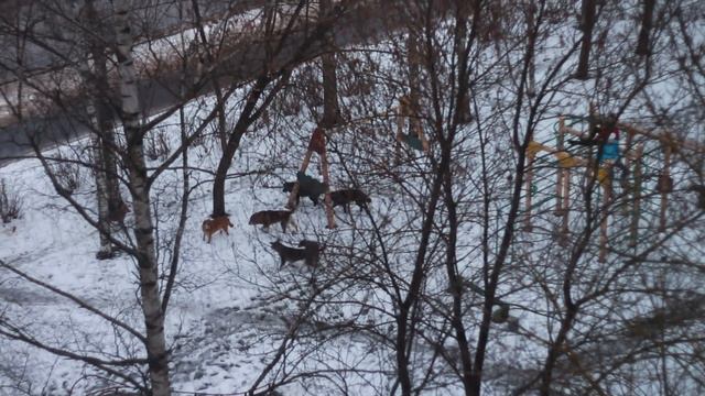 Ребенок гуляет в опасности... смотреть онлайн