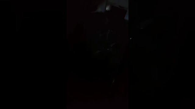 В водоёме есть своя щука смотреть онлайн