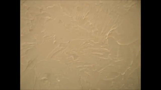 Dekoravimas, Sienų Reljefinis Dekoratyvinis Glaistymas. Klaipėda