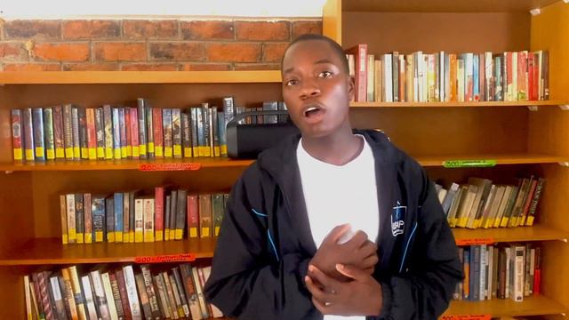 Library Art Concert: Scars by Lukas Graham (cover) смотреть онлайн