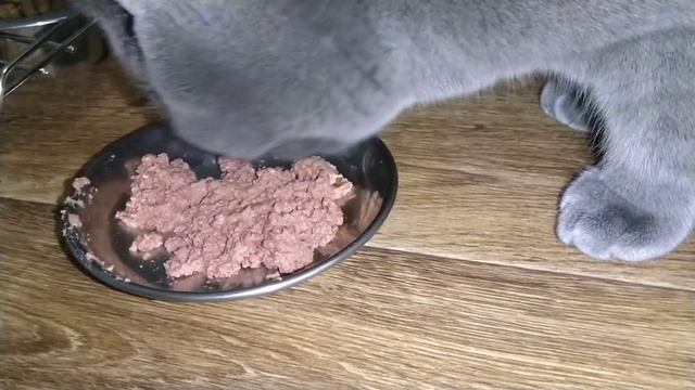 Тестируем Gourmet Gold смотреть онлайн