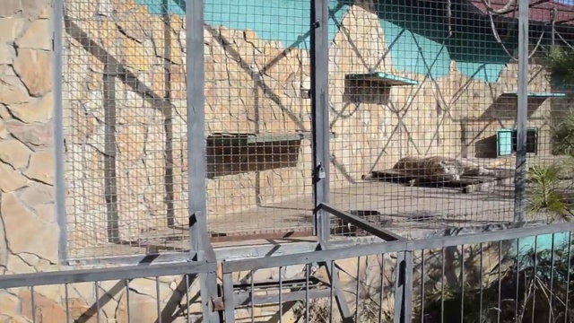 Медведь Юрик вышел погреться на солнышке ! смотреть онлайн