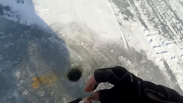 Ладога Безмотылка Плотва смотреть онлайн