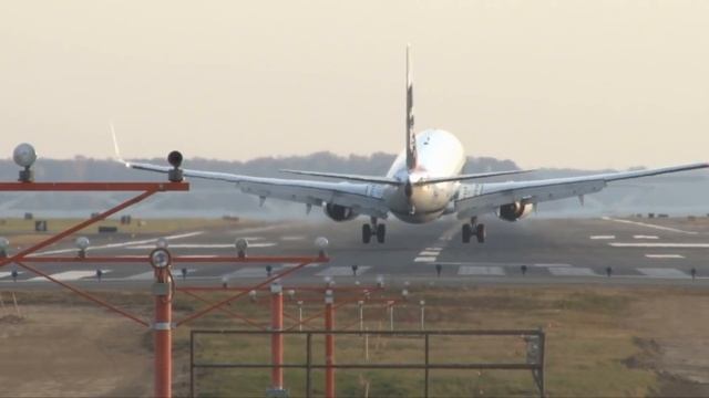 Самолет, приземлившийся с 92 скелетами на борту! смотреть онлайн