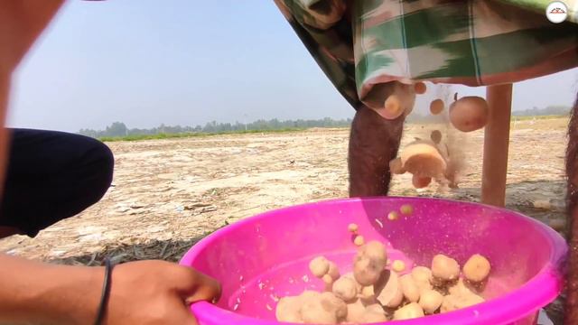 Tui Tui Funny Video Part5😃 tui tui bast comedy tui tui Funny💪 tui tui must watch special New video смотреть онлайн