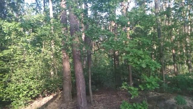 Борис Пастернак Тишина смотреть онлайн