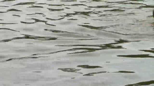 Вкусно жрать с Вованом Отдых на Жучке Жуков остров смотреть онлайн