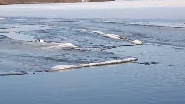 Зея смотреть онлайн