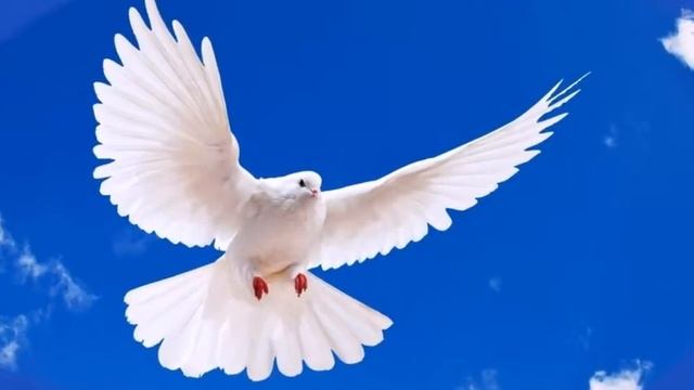 Поздравляю с 1 МАЯ! смотреть онлайн