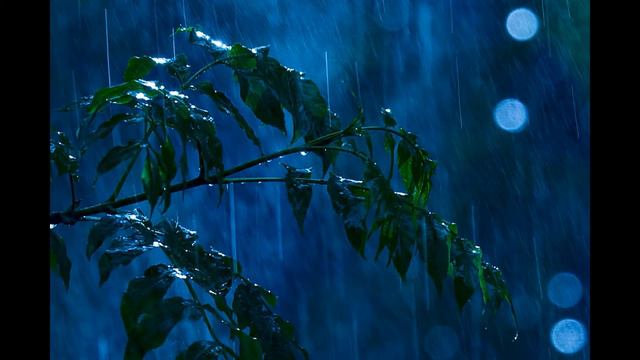 Саша Байкальский. Плохая погода. смотреть онлайн