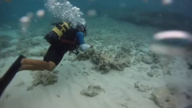 Scuba Diving Cayo Coco смотреть онлайн