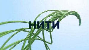 Green fiber от Greenvay Global для мирового уровня компании