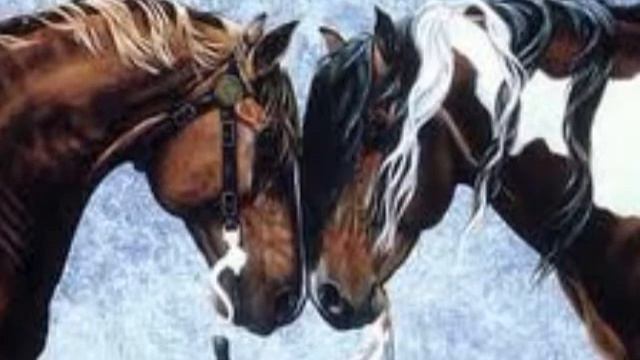 IL MOLDO GERONIMO.wmv смотреть онлайн
