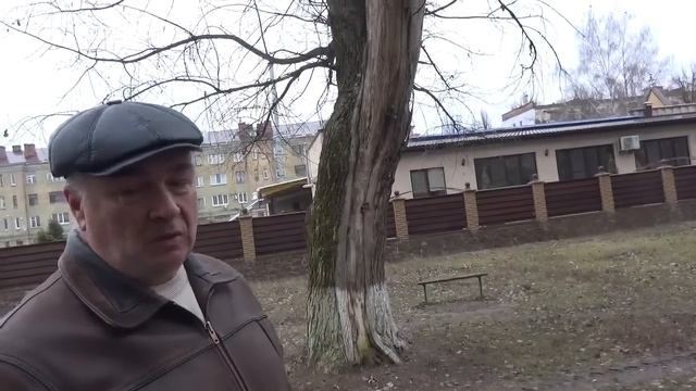 В в.г.11 бетонируют пешеходную дорожку, устанавливают "Новогоднюю ёлку". смотреть онлайн