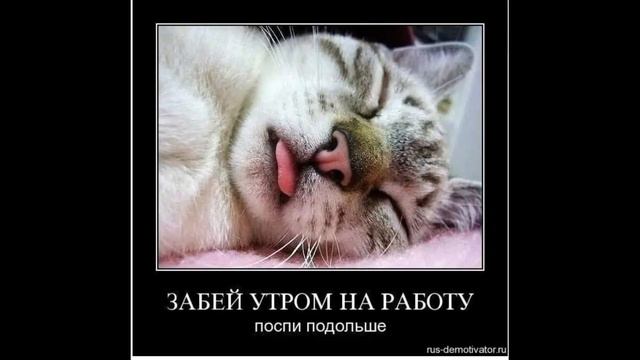 Смешная песня про работу! Всем, кто любит работать - не смотреть! смотреть онлайн