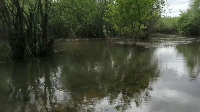 YAMAHA MT-03. Покатушки на р. Обь