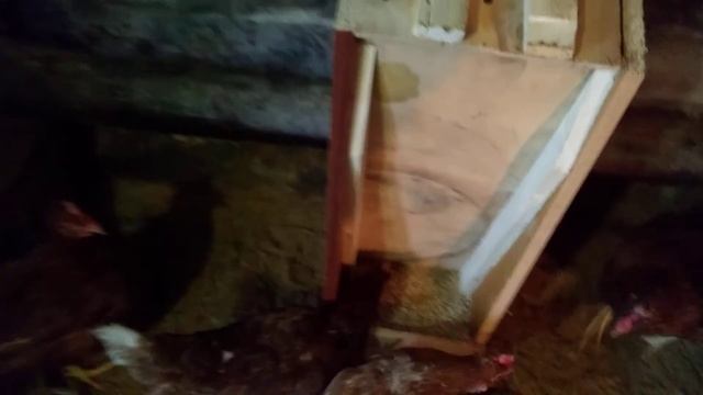 Бункерная кормушка для кур из старого навесного шкафчика.Hopper feeder for chickens. смотреть онлайн