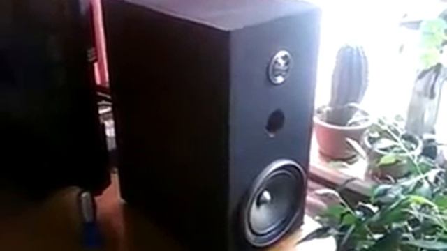 Pioneer TS-E170Ci смотреть онлайн