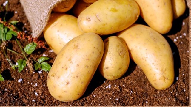 Как увеличить срок хранения картошки чтобы пролежала до следующего лета смотреть онлайн