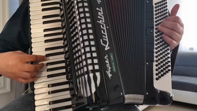 Akordeon Accordion Akkordeon Lucchini Stradella Super Musette 120/4/5