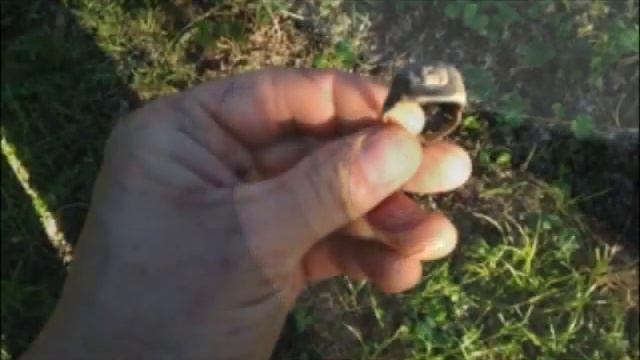 Metal Detecting Finds of 2012 - A Collage - Metal Detectors смотреть онлайн