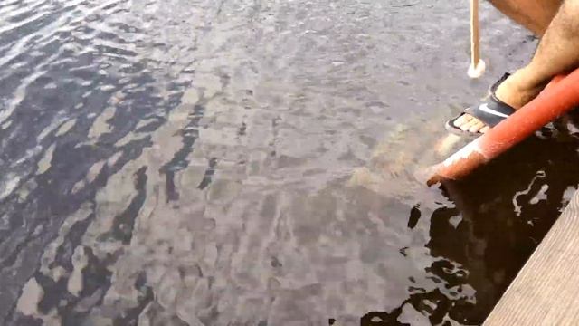 Квок на Сома | Тестирую Самодельный квок