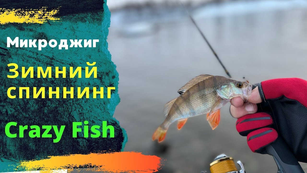 Crazy Fish Arion ASRE702ULS первое знакомство .