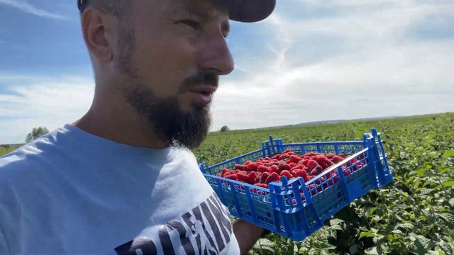 Практический семинар «Современные технологии выращивания ягод» 29 августа 2022 г. смотреть онлайн