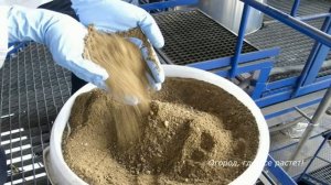 Большая польза горчичного жмыха, костной  и рыбной  муки.mp4