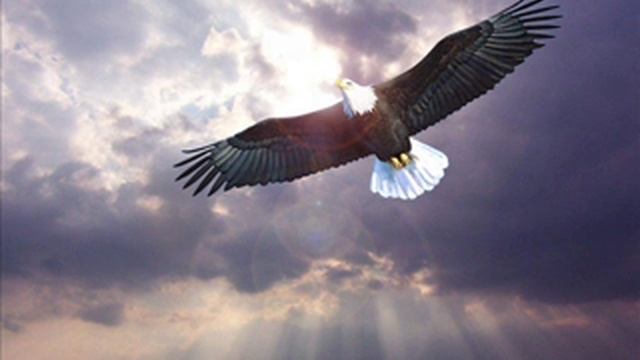 Подобно орлу смотреть онлайн